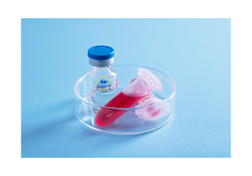 [GEN - PYT405-5ug] TNF a Porcine